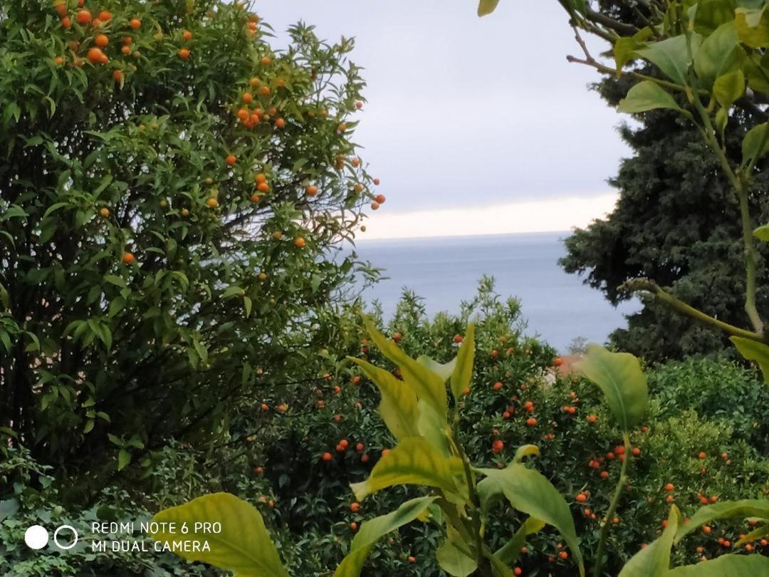 Appartamento La Promenade A Mentone